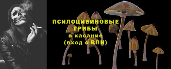 МДПВ Краснослободск