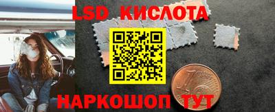 PSILOCYBIN Северобайкальск