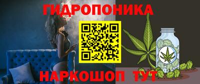 PSILOCYBIN Северобайкальск