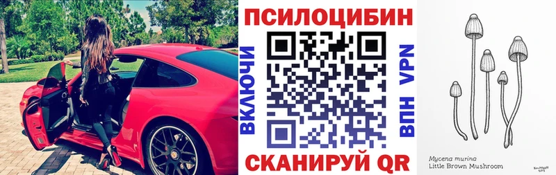 наркота  Строитель  Псилоцибиновые грибы мицелий 