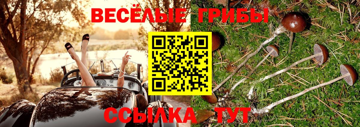 Псилоцибиновые грибы MAGIC MUSHROOMS  Вход с VPN  Строитель 